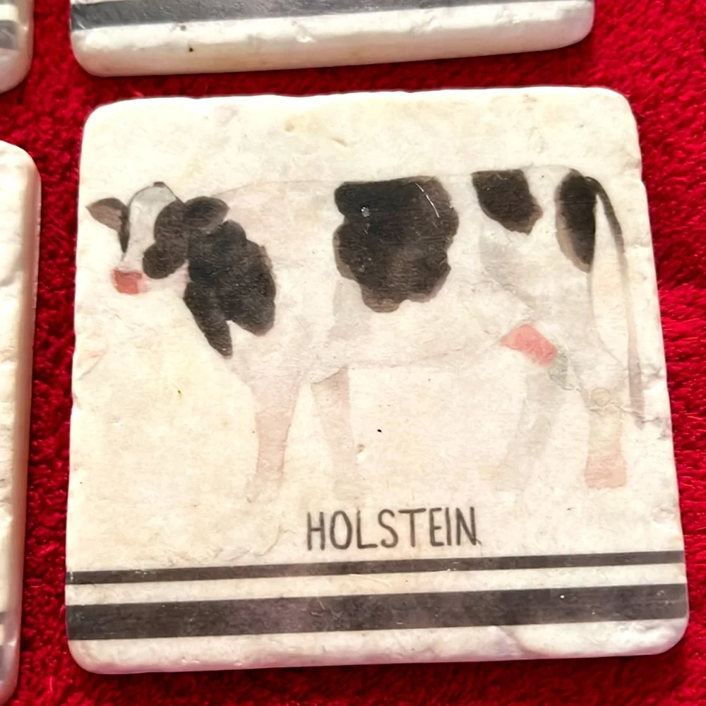 English Farm Animals Cows & Pigs Stone Coasters Set of 4